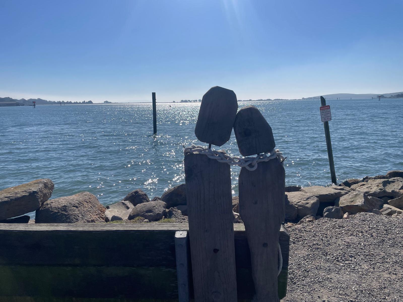 whatsapp image 2026 03 09 at 6.48.36 am